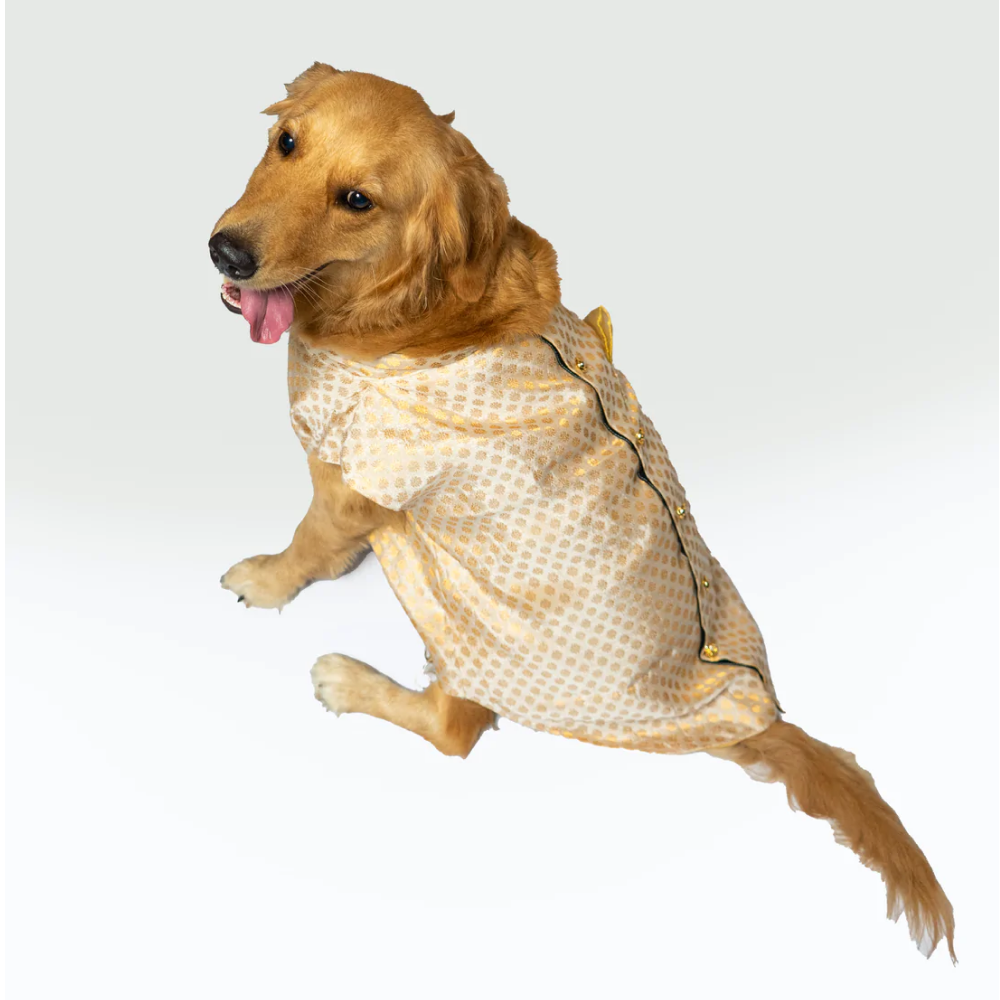Pawgypets Sherwani for Pets (White)