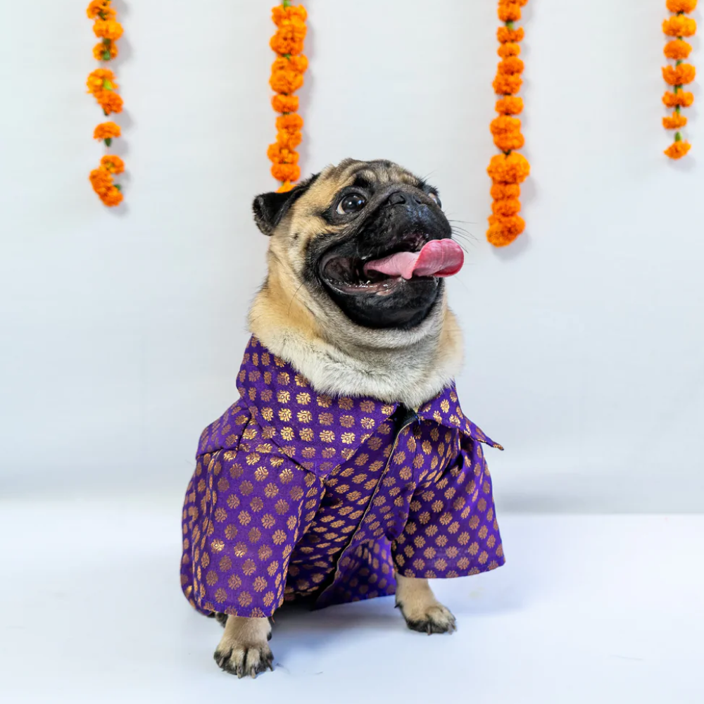 Pawgypets Occasion Wear Shirt for Pets (Purple)