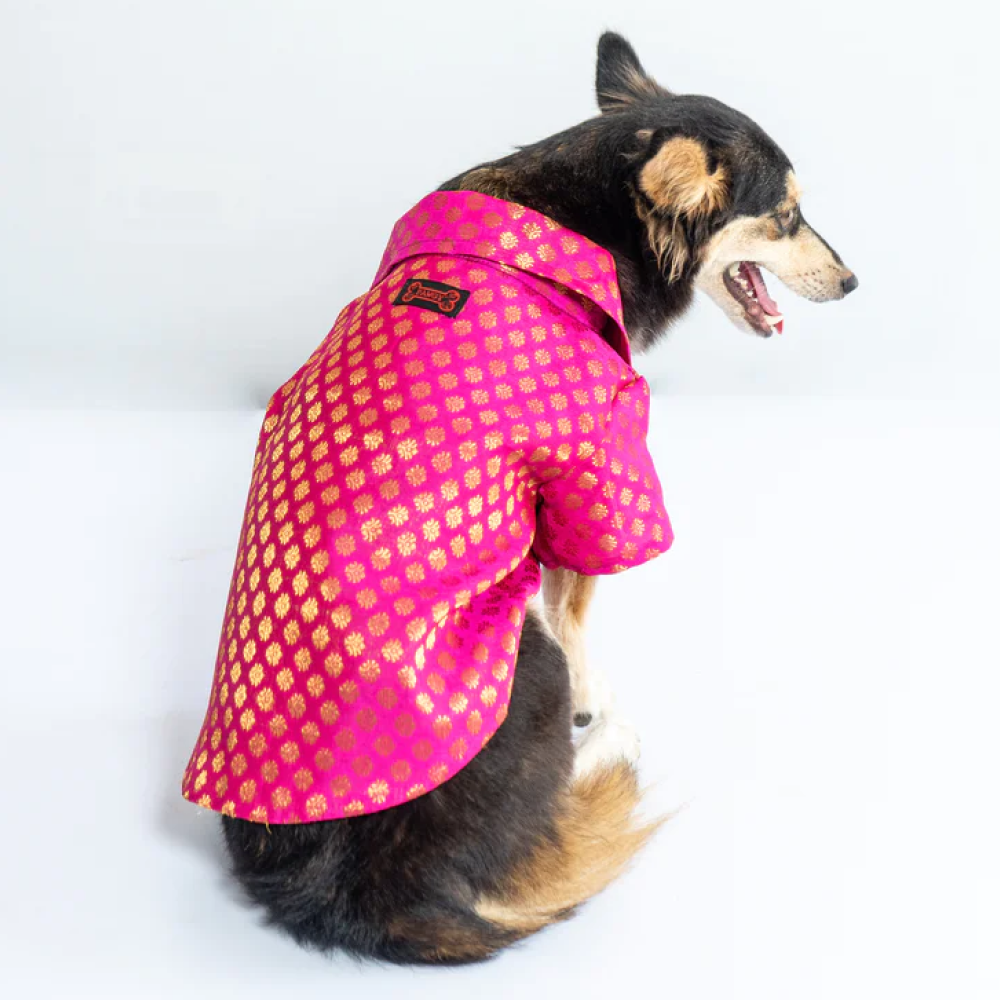 Pawgypets Occasion Wear Shirt for Pets (Pink)