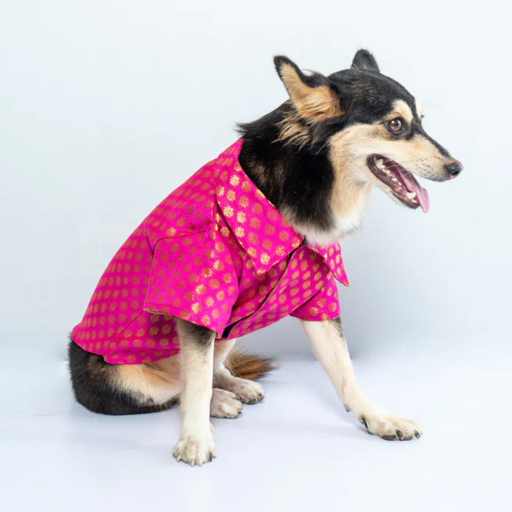 Pawgypets Occasion Wear Shirt for Pets (Pink)
