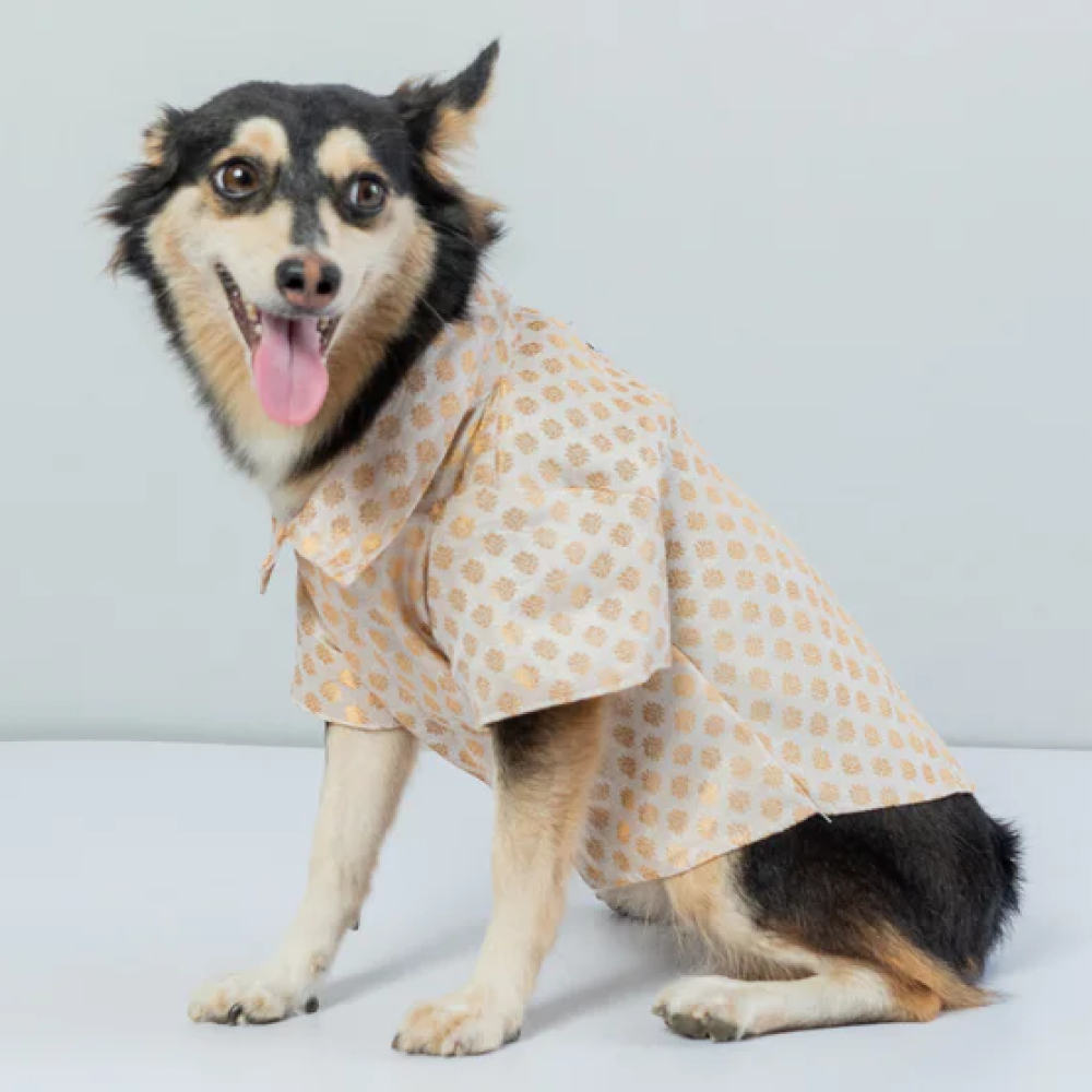 Pawgypets Occasion Wear Shirt for Pets (White)