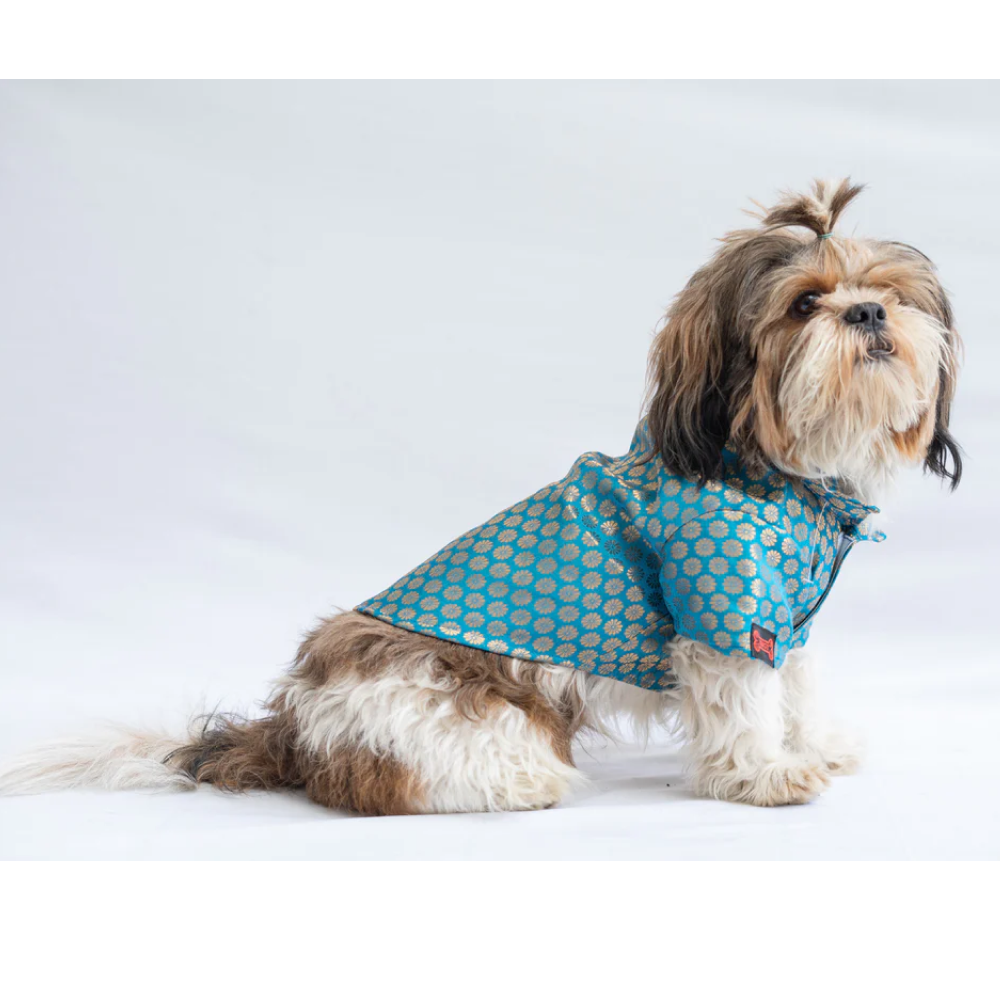 Pawgypets Occasion Wear Shirt for Pets (Blue)