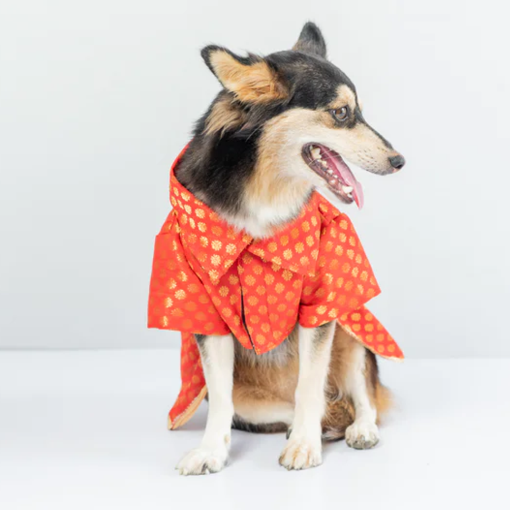 Pawgypets Occasion Wear Dress for Pets (Red)