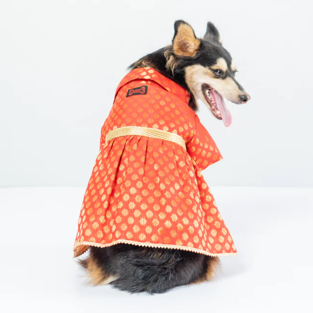 Pawgypets Occasion Wear Dress for Pets (Red)