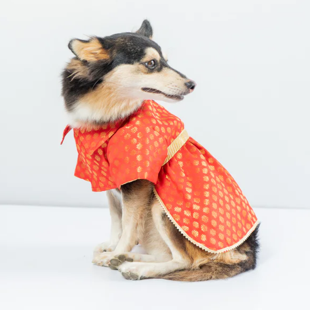 Pawgypets Occasion Wear Dress for Pets (Red)