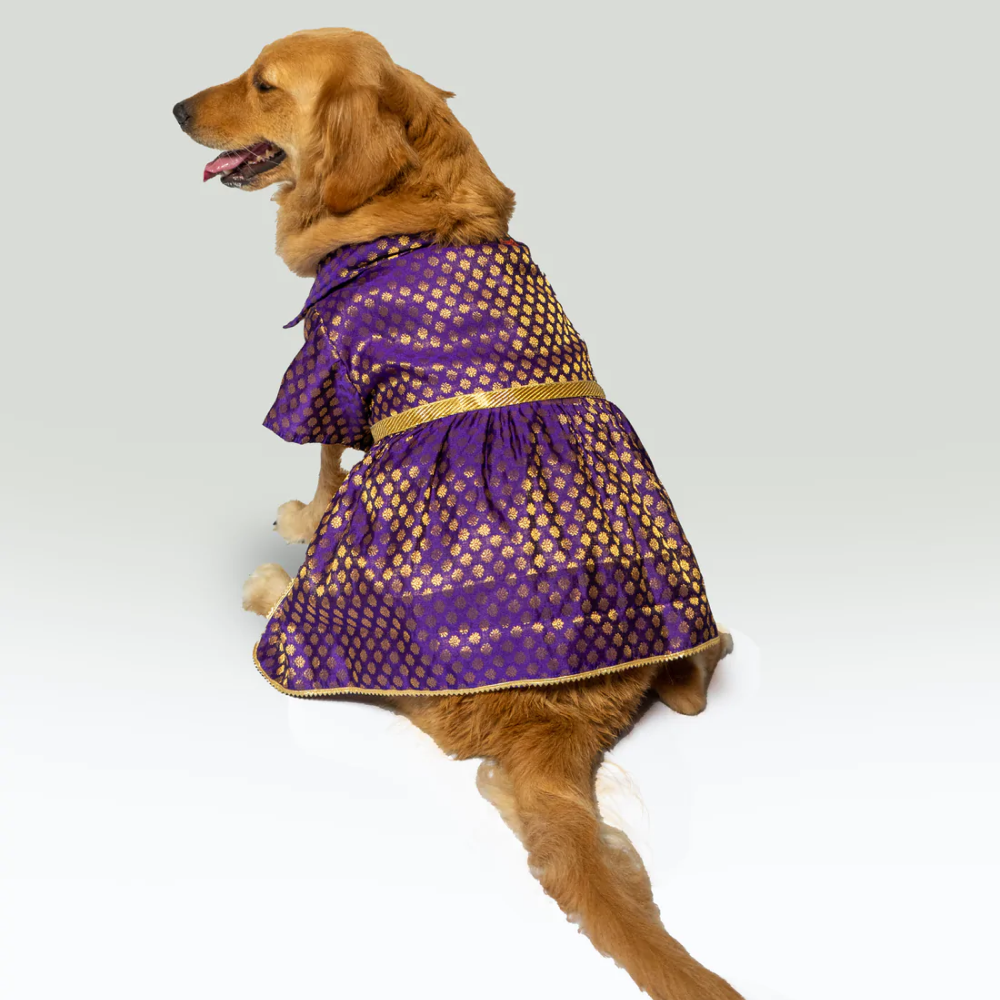 Pawgypets Occasion Wear Dress for Pets (Purple)