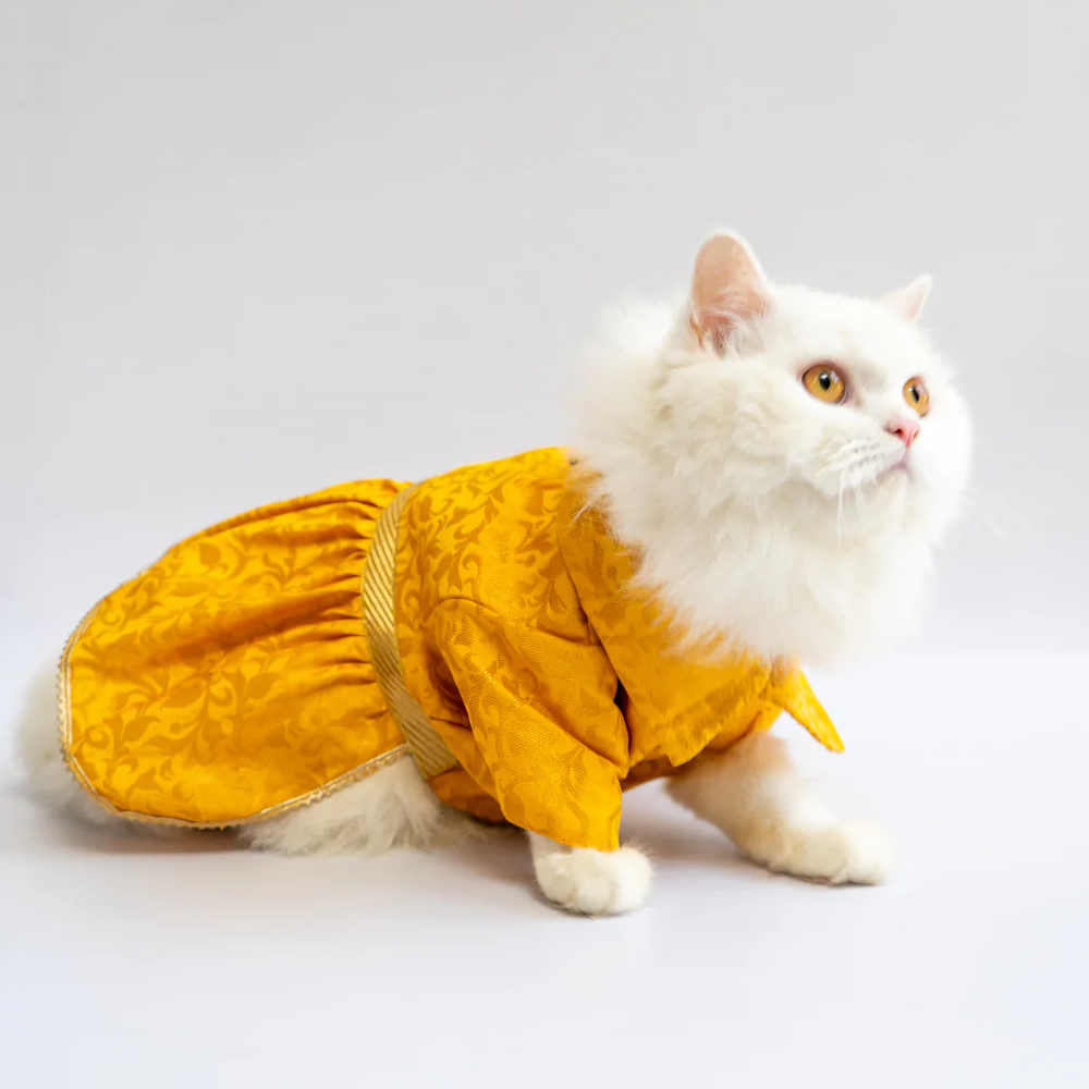 Pawgypets Occasion Wear Dress for Pets (Yellow)