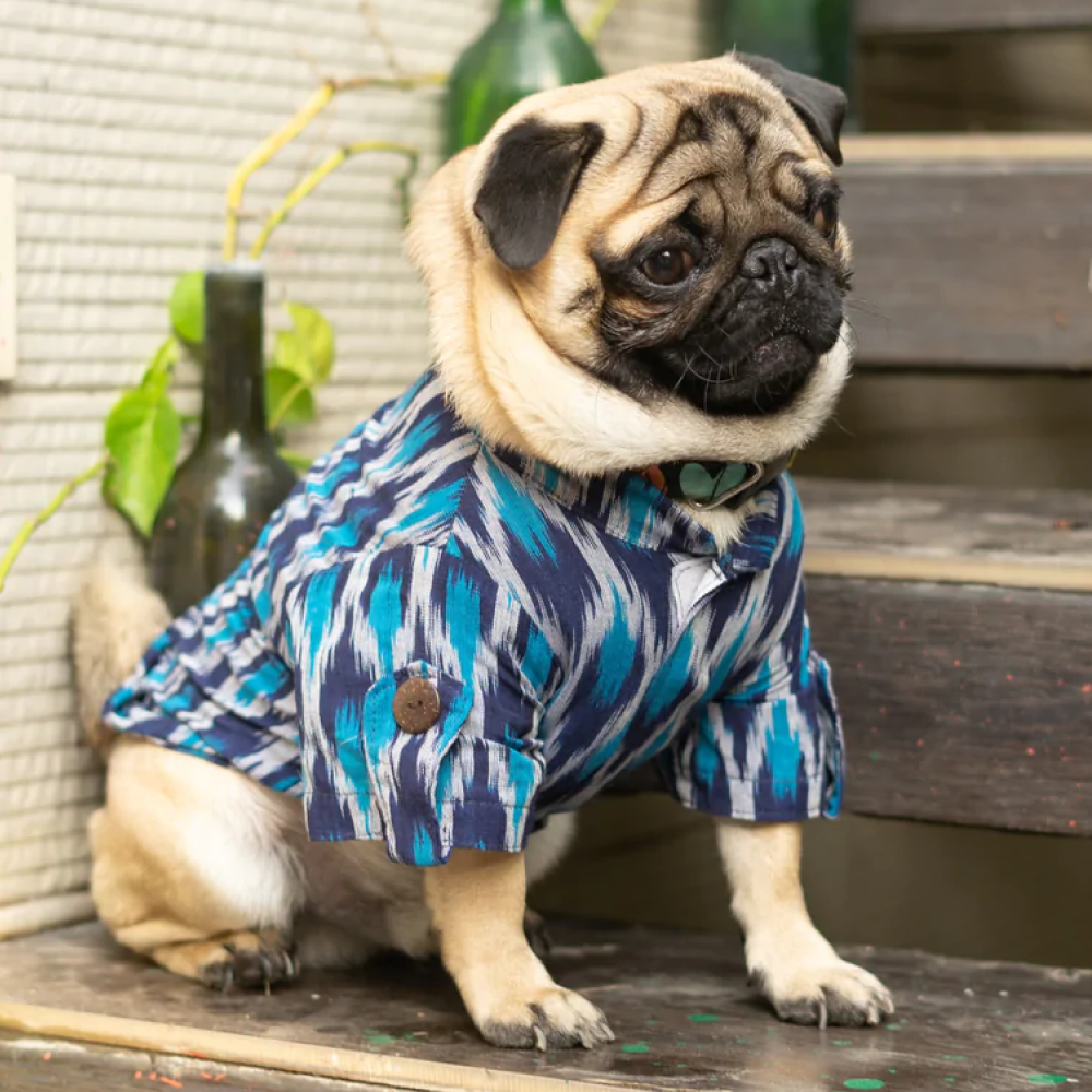 Pawgypets Ikkat Kurta for Pets (Blue)