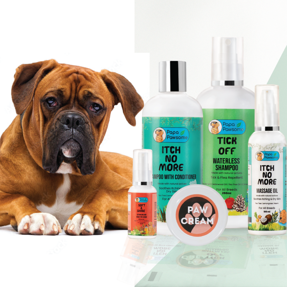 Papa Pawsome Short Smooth Coat Basic Grooming Kit (Boxer)