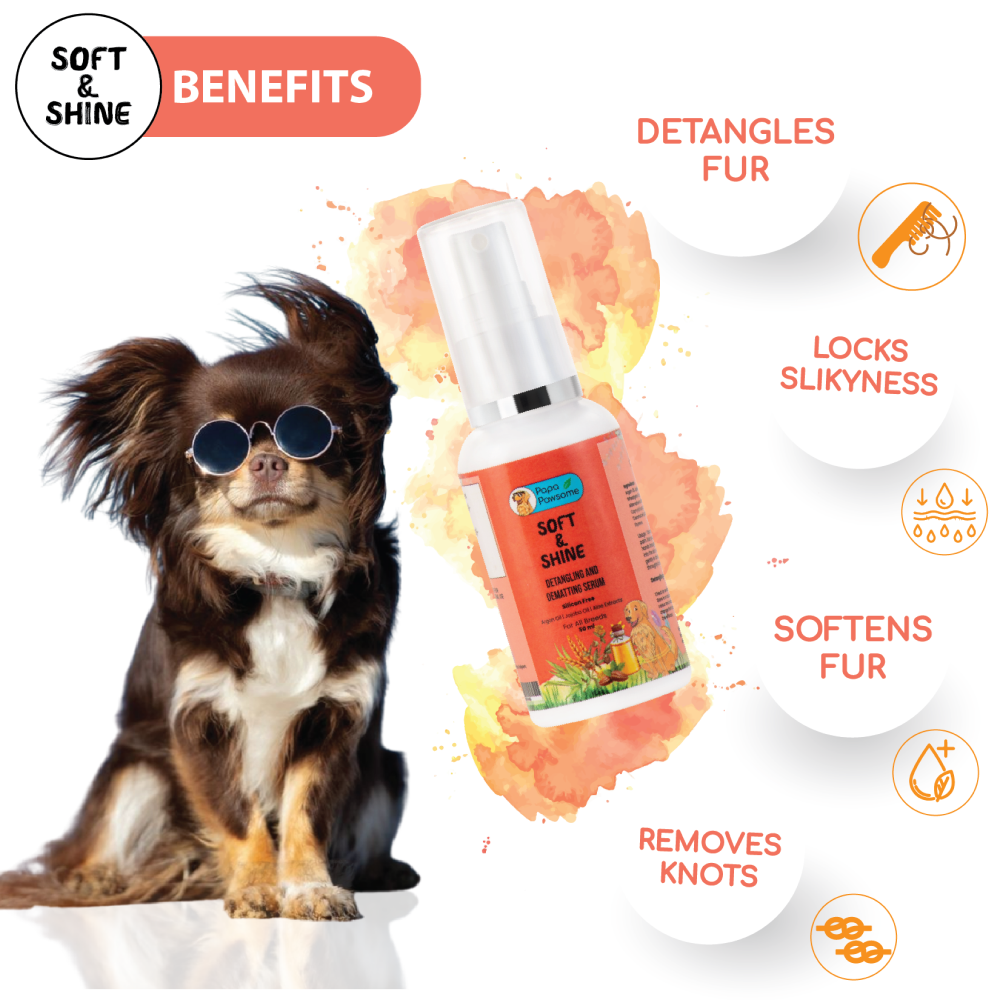 Papa Pawsome Short Smooth Coat Basic Grooming Kit (Boxer)
