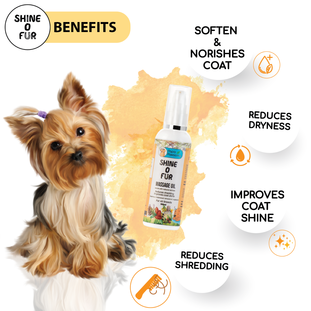 Papa Pawsome Short Smooth Coat Basic Grooming Kit (Boxer)
