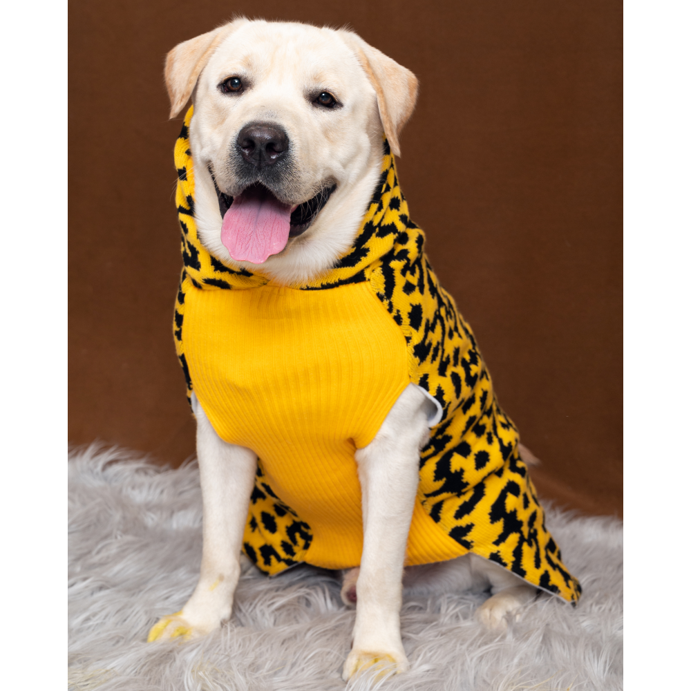 Petsnugs Leopard Knit Sweater for Pets (Yellow & Black)