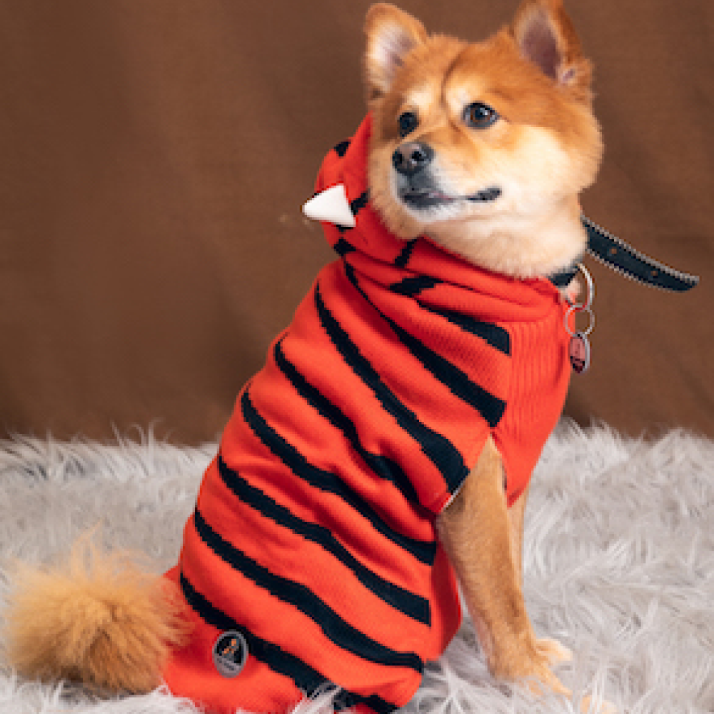 Petsnugs Tiger Knit Sweater for Pets (Black & Orange)