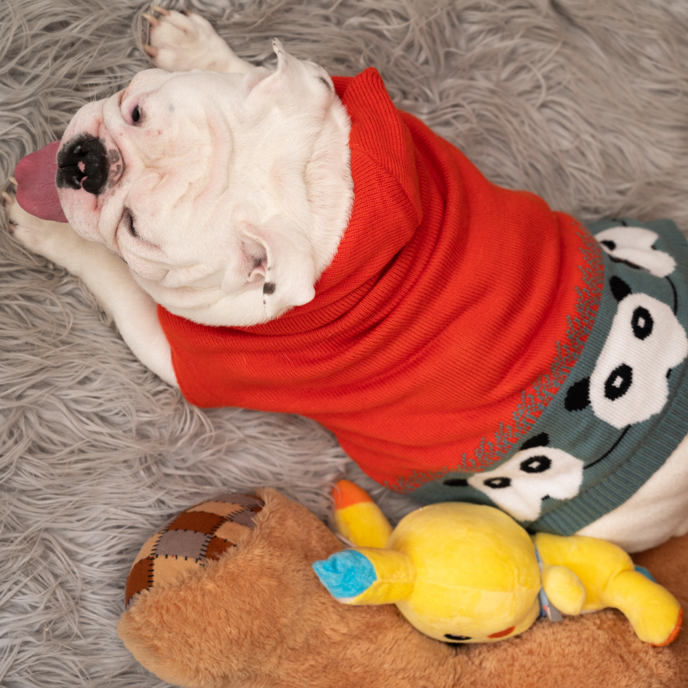 Petsnugs Panda Knit Sweater for Pets (Black & Orange)