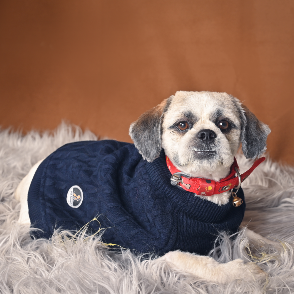 Petsnugs Cable Knit Sweater for Pets (Navy Blue)