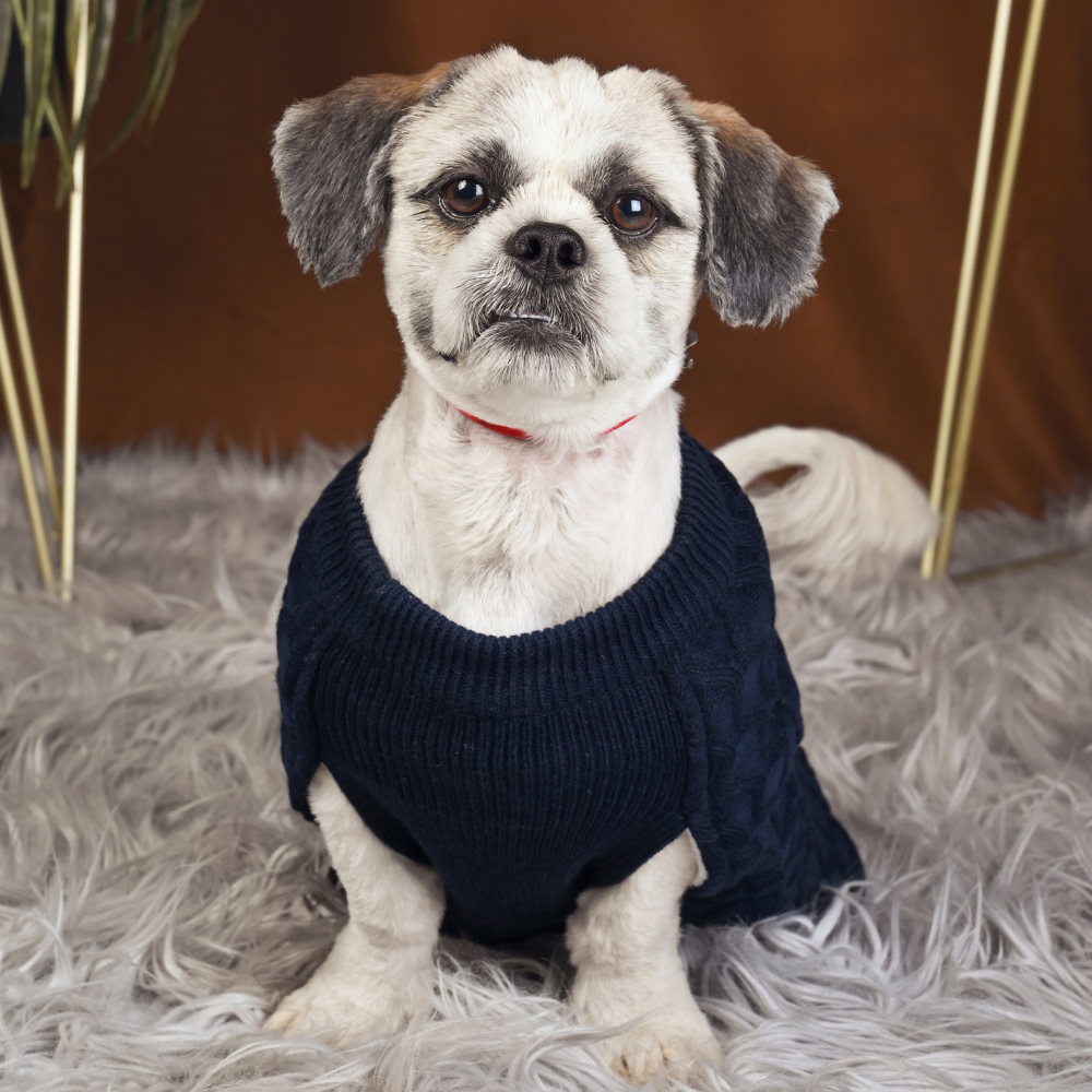 Petsnugs Cable Knit Sweater for Pets (Navy Blue)