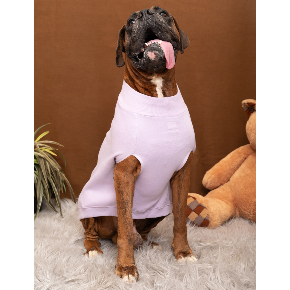 Petsnugs Cute Devil Sweatshirt (Lavender)