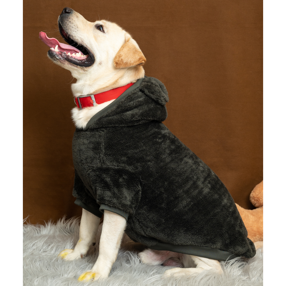 Petsnugs Fluffy Sweatshirt for Pets (Olive Green)