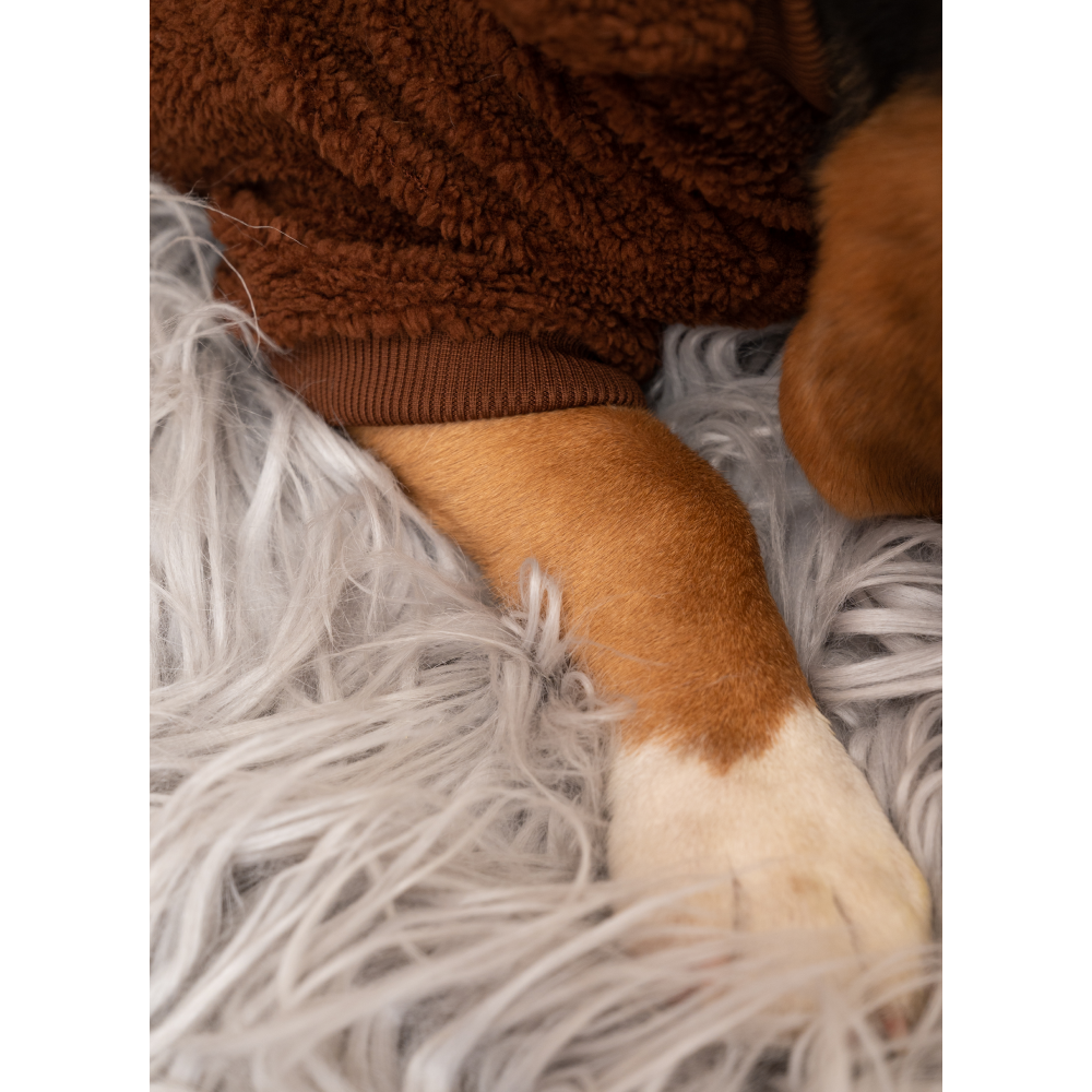 Petsnugs Woof Woof Sweatshirt for Pets (Dark Brown)