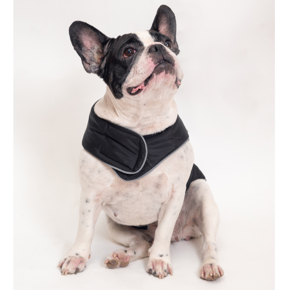 Petsnugs Jacket for Pets (Black)