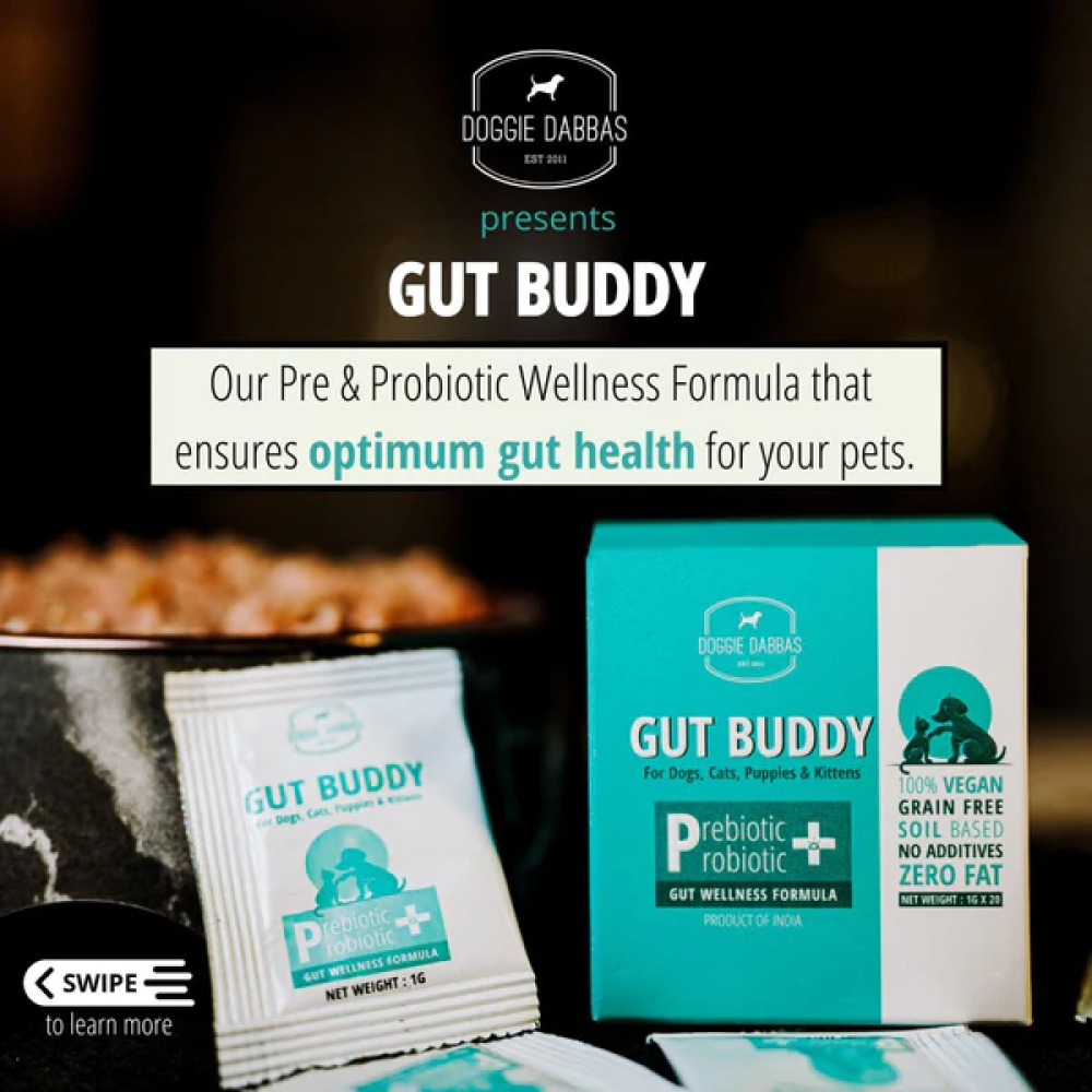 Doggie Dabbas Gut Buddy for Pets