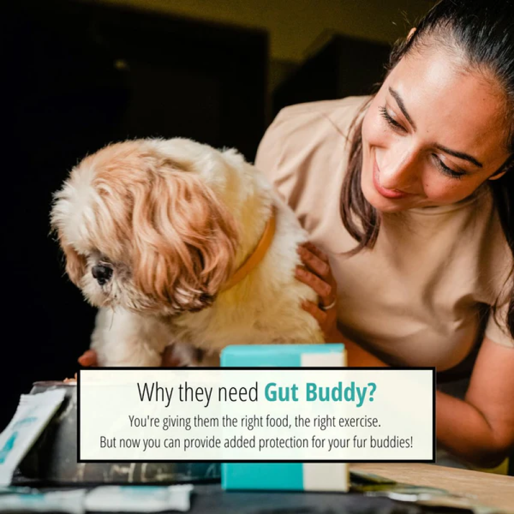 Doggie Dabbas Gut Buddy for Pets