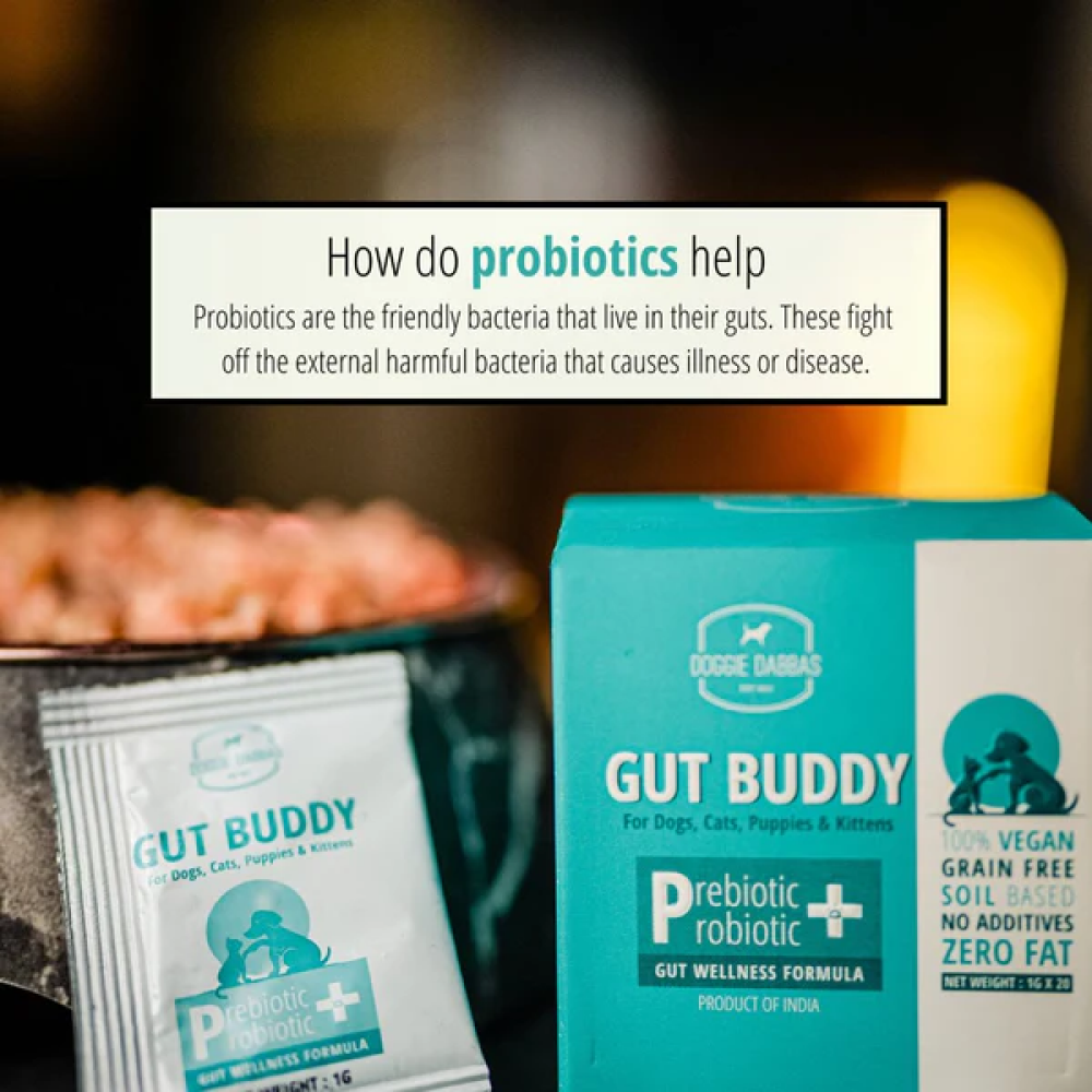 Doggie Dabbas Gut Buddy for Pets