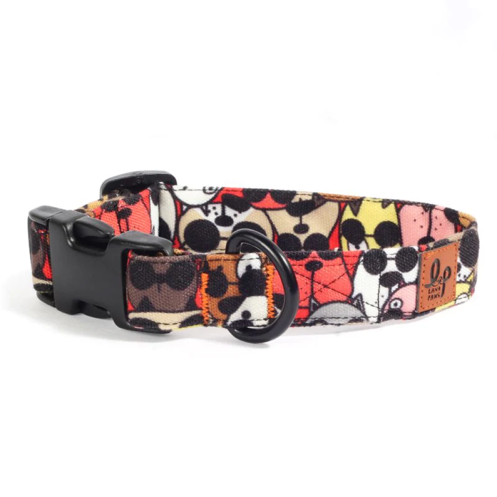 Lana Paws Googly Eyes Printed Collar for Dogs