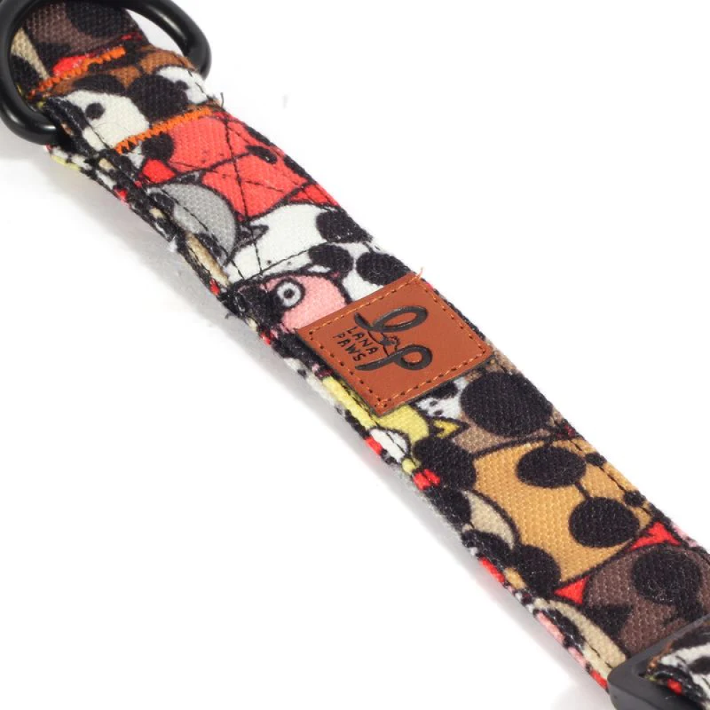 Lana Paws Googly Eyes Printed Collar for Dogs