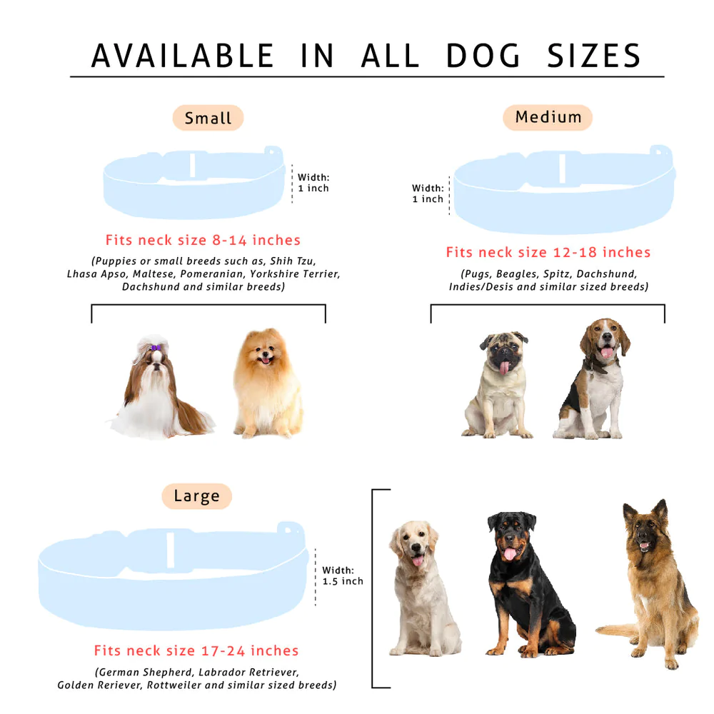 Lana Paws Googly Eyes Printed Collar for Dogs
