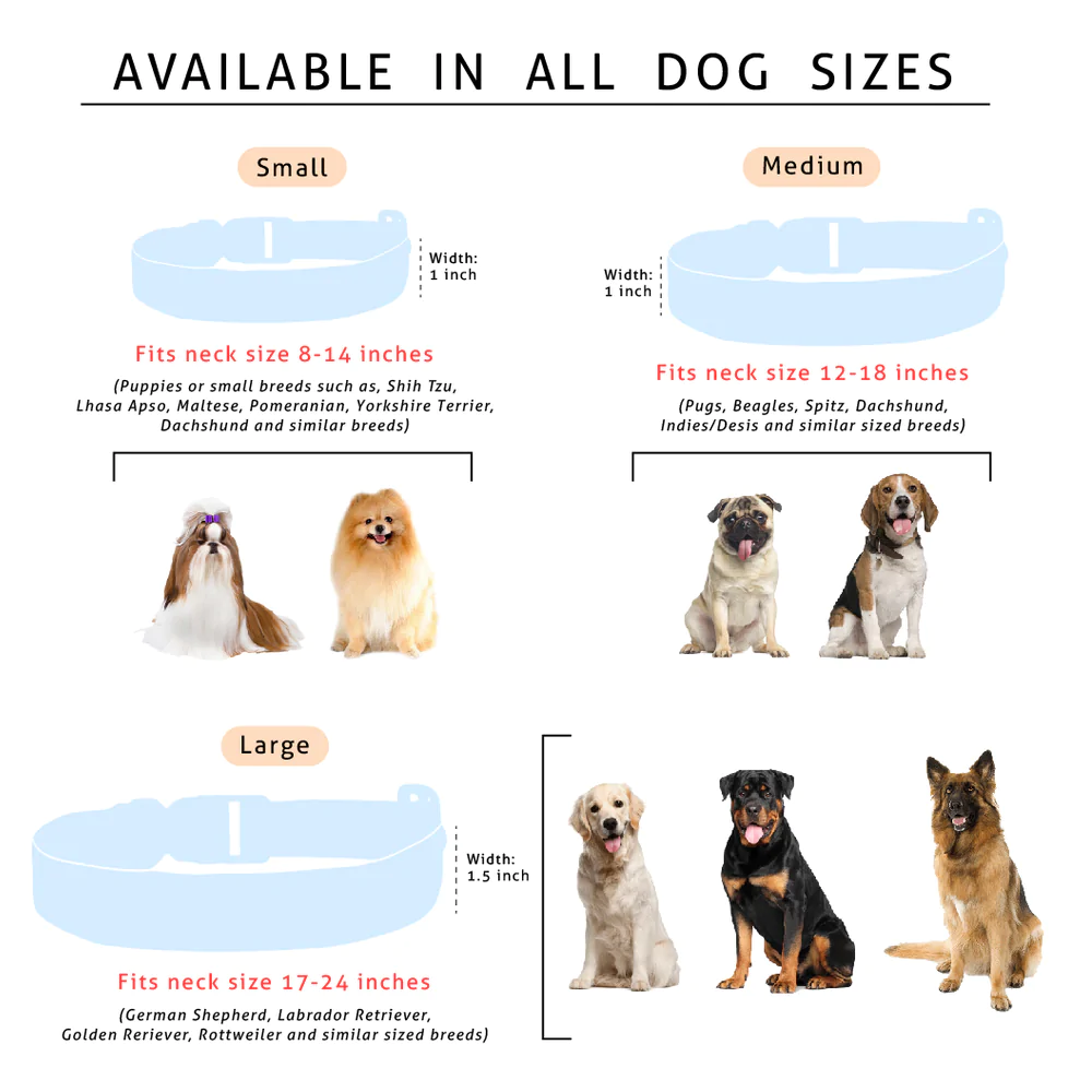 Lana Paws Googly Eyes Printed Collar for Dogs (Pink)