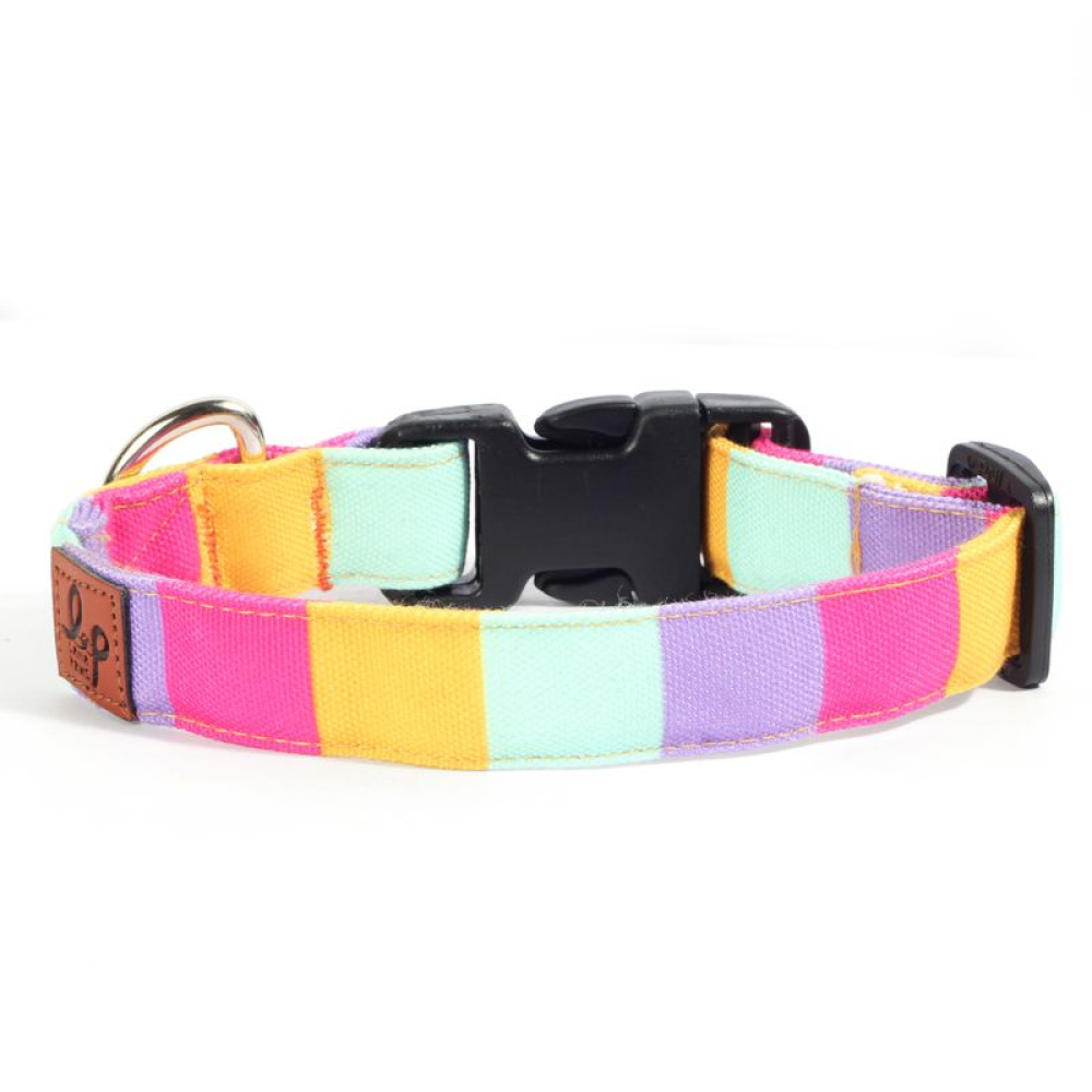 Lana Paws Color Pop Printed Collar for Dogs