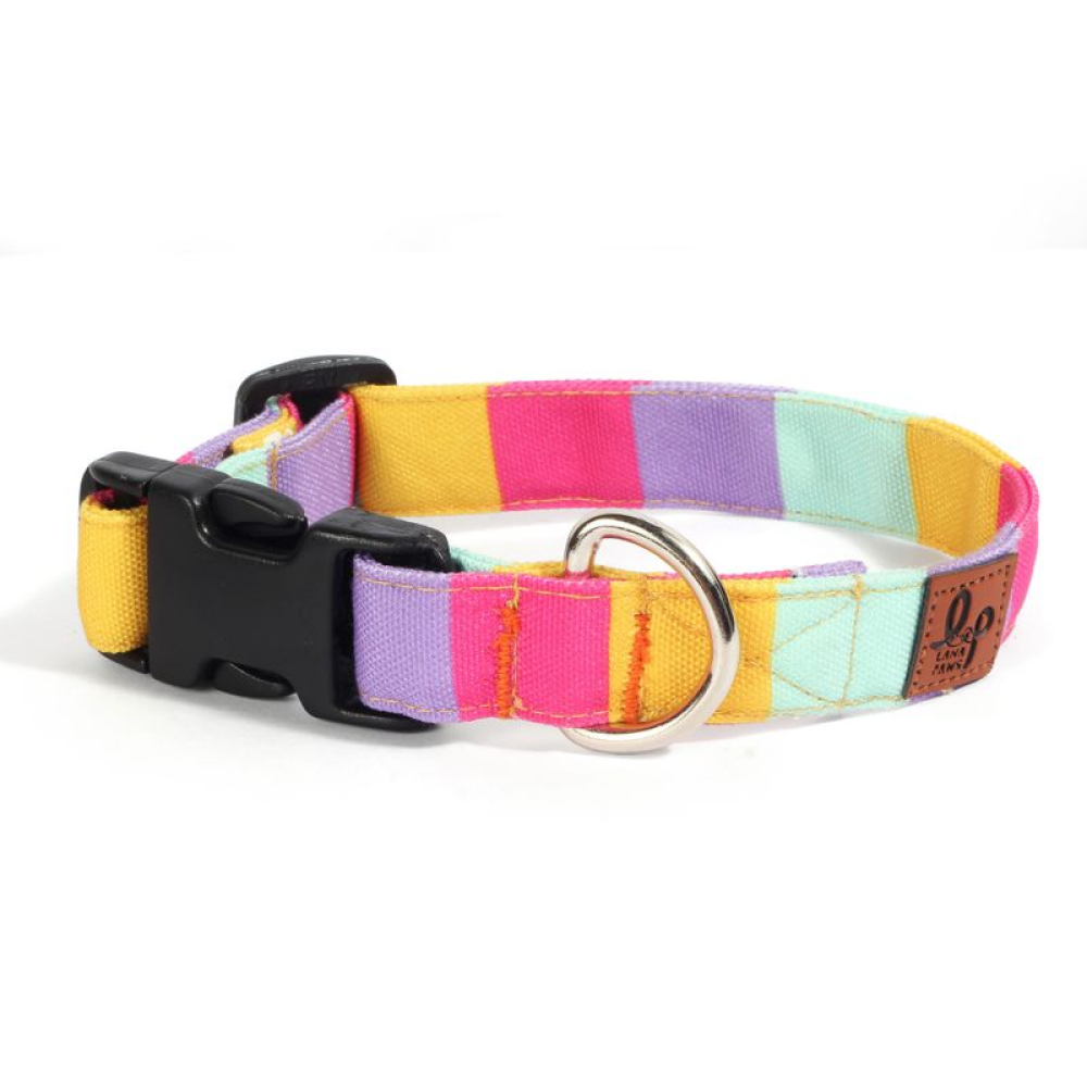 Lana Paws Color Pop Printed Collar for Dogs