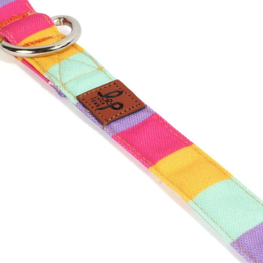 Lana Paws Color Pop Printed Collar for Dogs