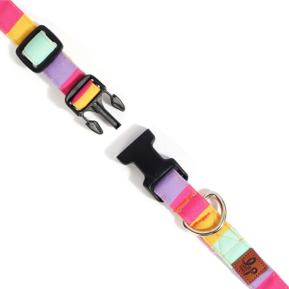 Lana Paws Color Pop Printed Collar for Dogs
