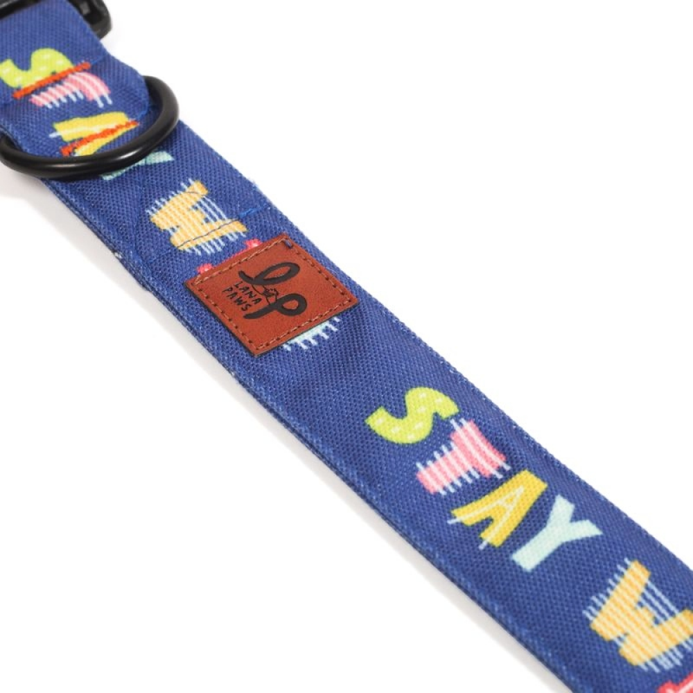 Lana Paws Stay Wild Printed Collar for Dogs