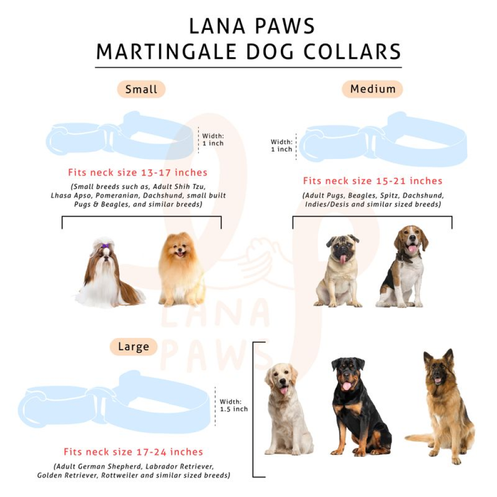 Lana Paws Comic Strip Martingale Collar for Dogs (Black)