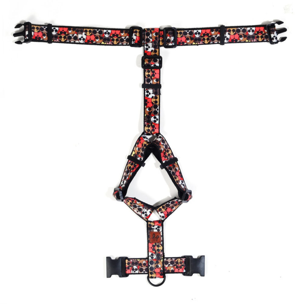 Lana Paws Googly Goggly H Harness for Dogs