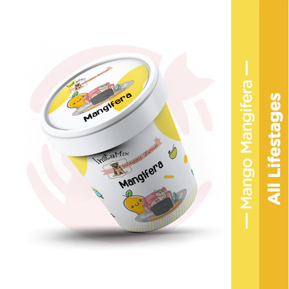 Waggy Zone Mango Ice Cream for Dogs
