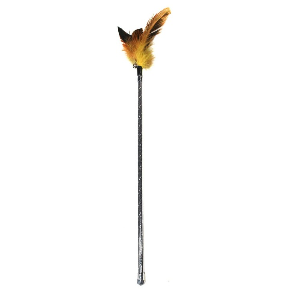 Emily Pets interactive Feather Toy for Cats (Brown)