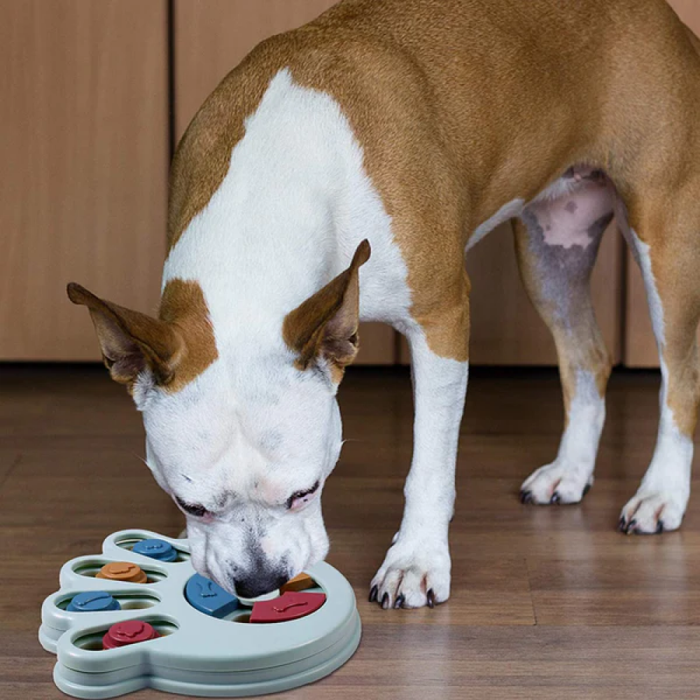 Emily Pets Intelligence Food Treated Puzzle Toy for Pets
