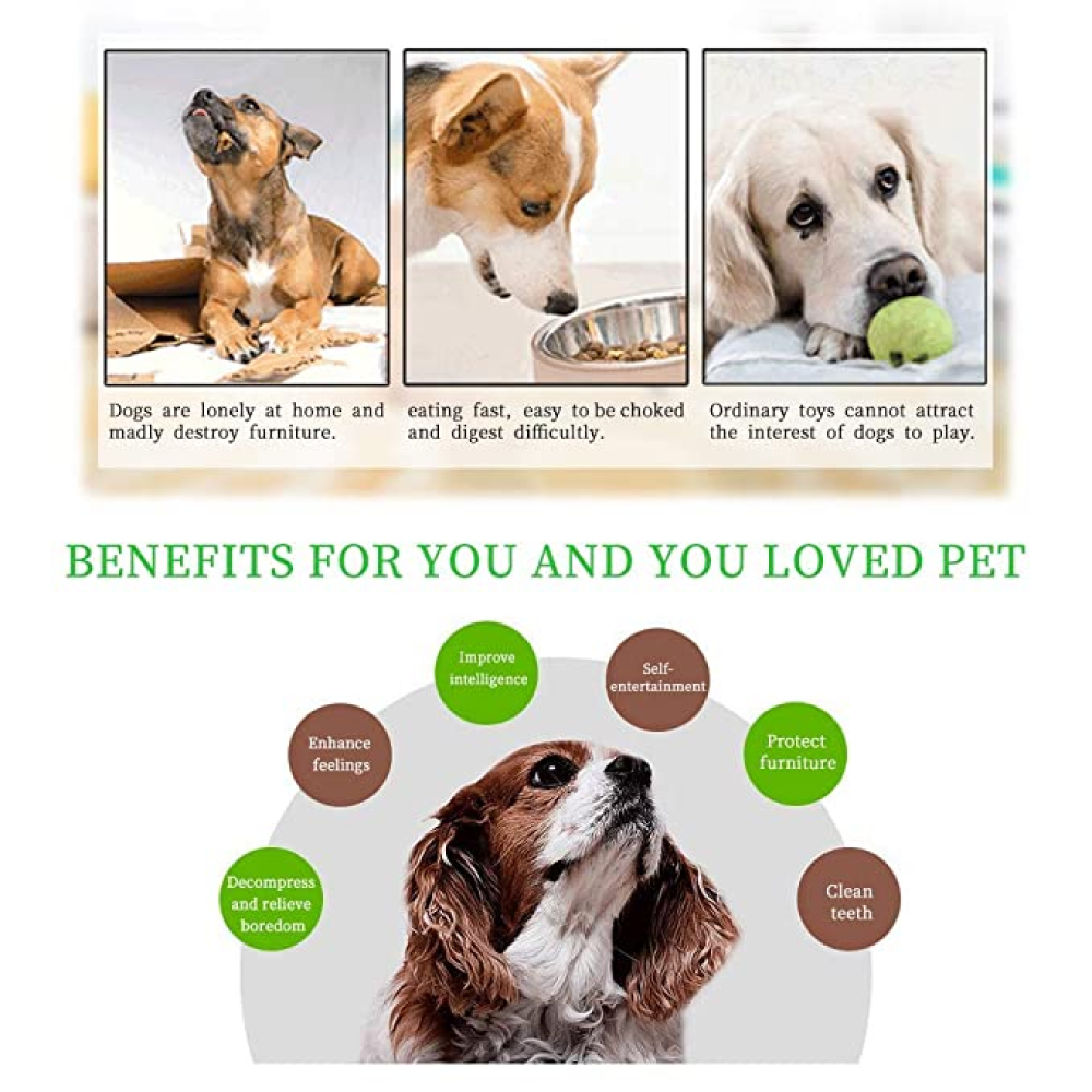 Emily Pets Intelligence Food Treated Puzzle Toy for Pets