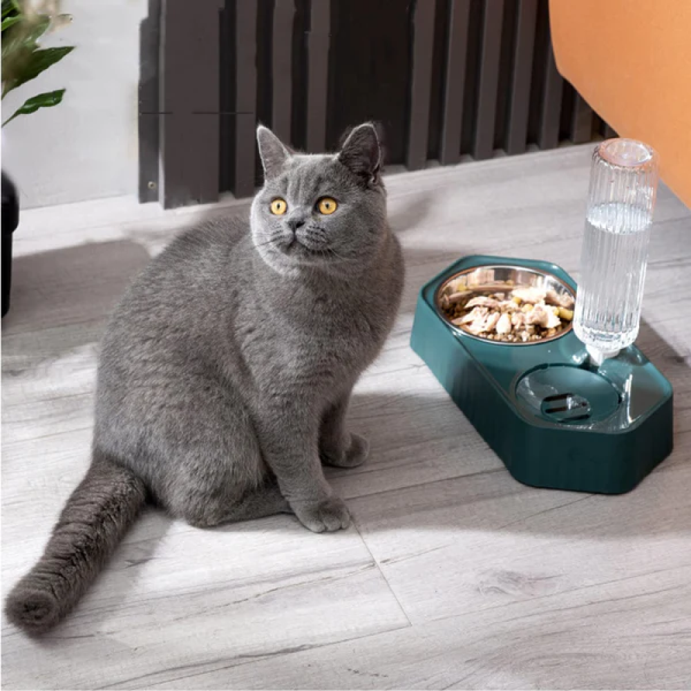 Emily Pets Automatic Water Dispenser Double Bowls for Pets