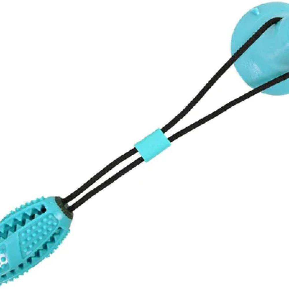 Emily Pets Rubber Chew Toy for Dogs