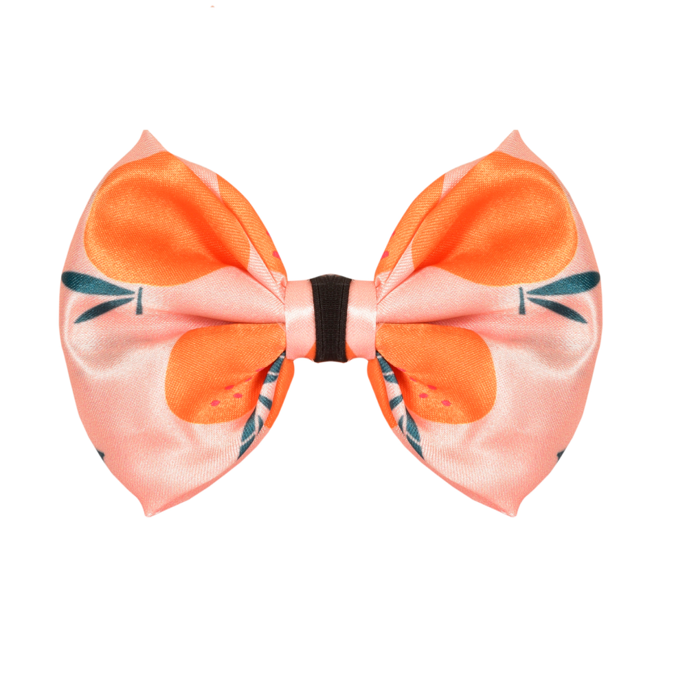 Bows and Ties Bowtie for Pets (Orange)