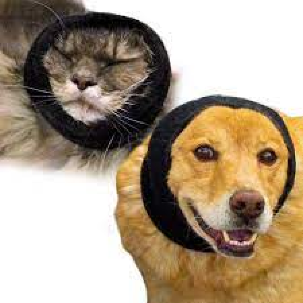 Happy Hoodie for Pets (Black - Pack of 2)