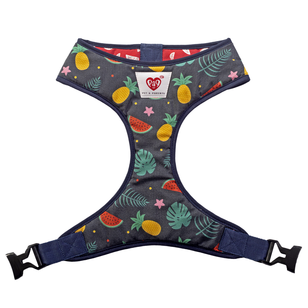 Pet And Parents (Namaste Pets) Floral Watermelon Reversible Harness for Dogs