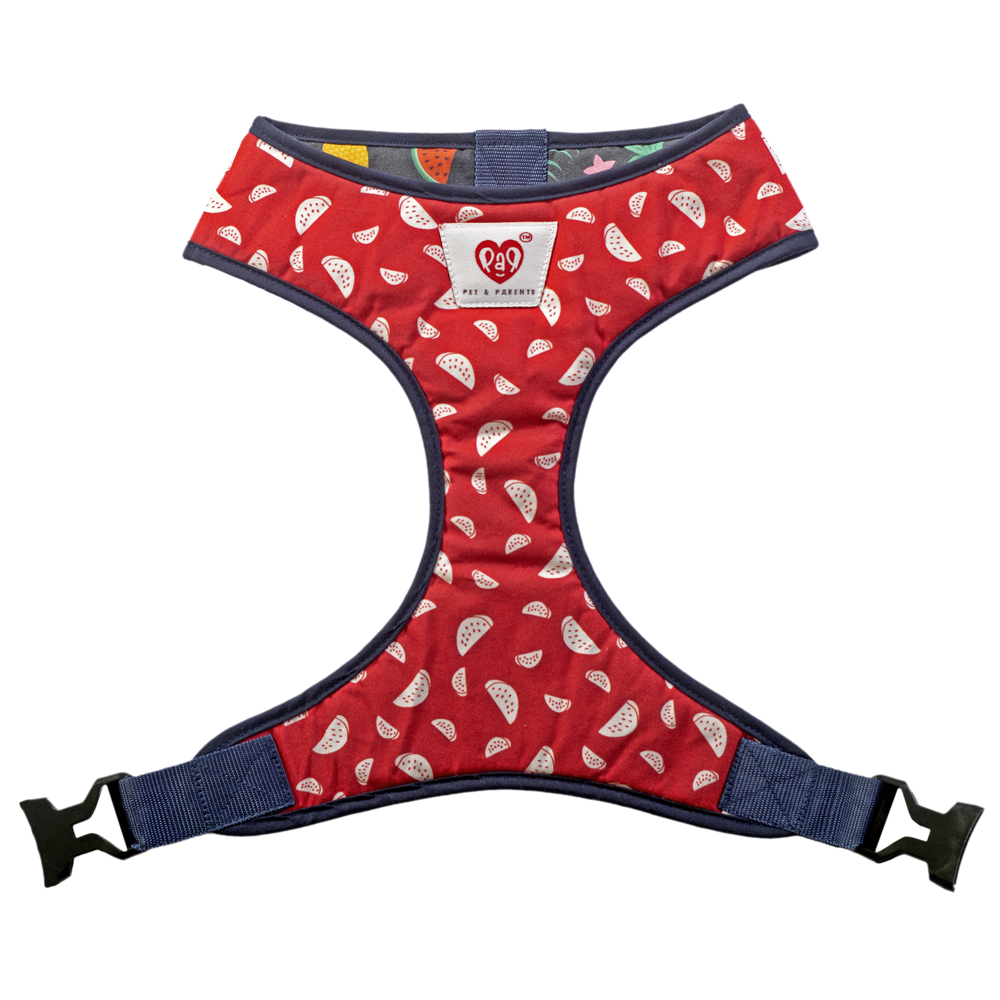 Pet And Parents (Namaste Pets) Floral Watermelon Reversible Harness for Dogs