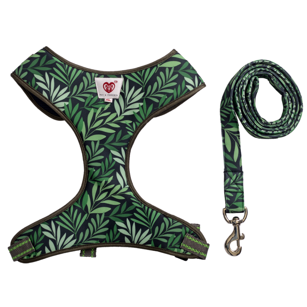 Pet And Parents (Namaste Pets) Green Leaf Padded Harness + Leash for Dogs