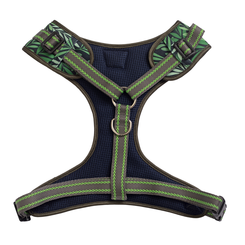 Pet And Parents (Namaste Pets) Green Leaf Padded Harness + Leash for Dogs